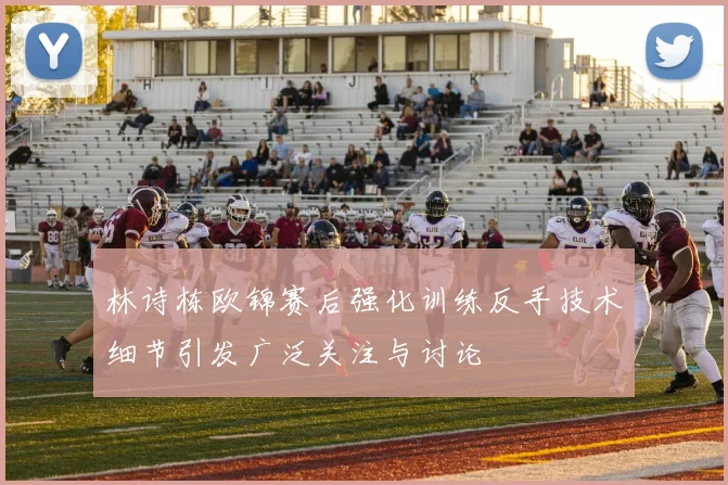 林诗栋欧锦赛后强化训练反手技术细节引发广泛关注与讨论